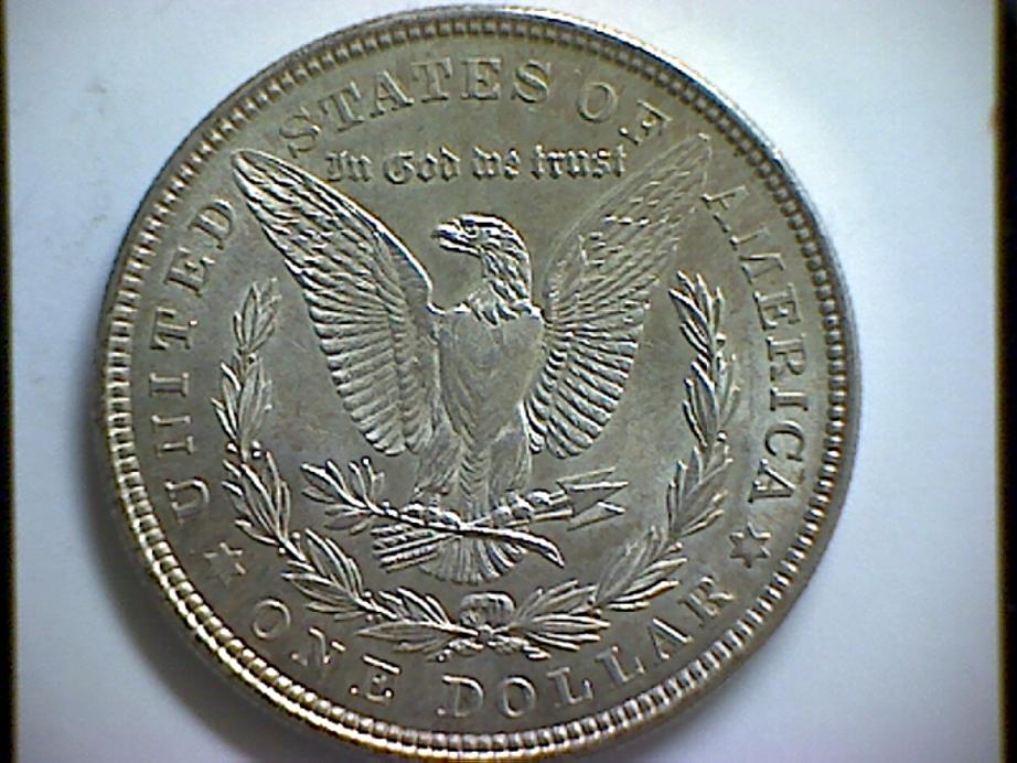 Grade-My-Morgans